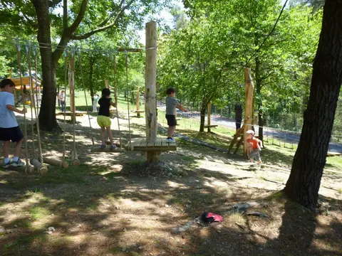 Enfants dans les arbres de l’accrobranche